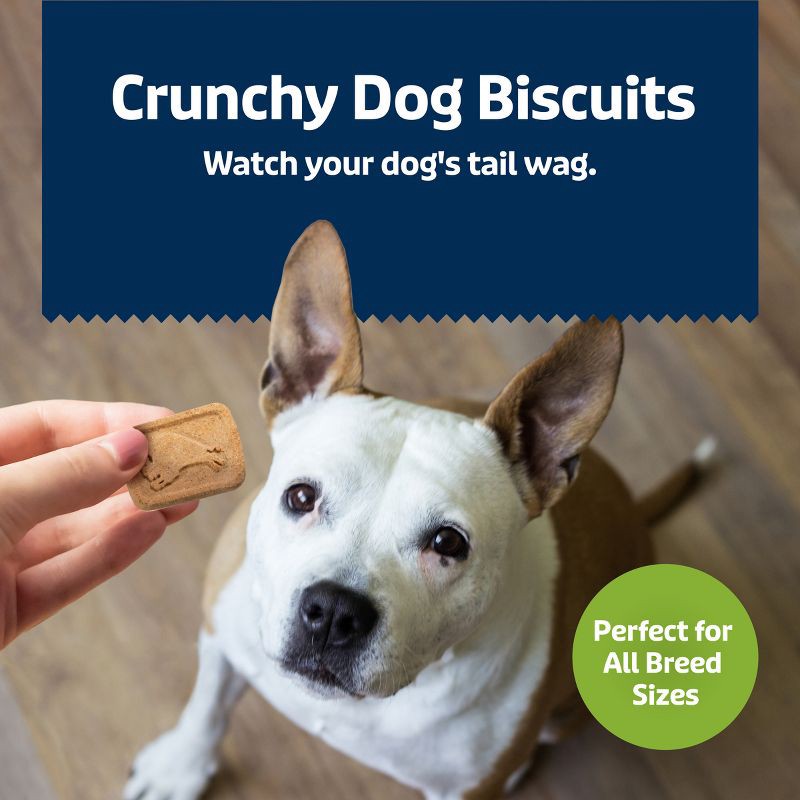 slide 4 of 9, Blue Buffalo Health Bars Natural Crunchy Dog Treats Biscuits with Apple & Yogurt Flavor - 16oz, 16 oz