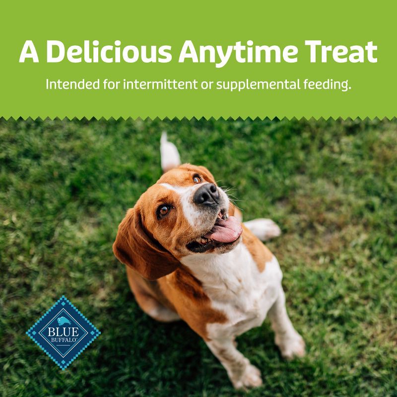 slide 8 of 9, Blue Buffalo Health Bars Natural Crunchy Dog Treats Biscuits with Apple & Yogurt Flavor - 16oz, 16 oz