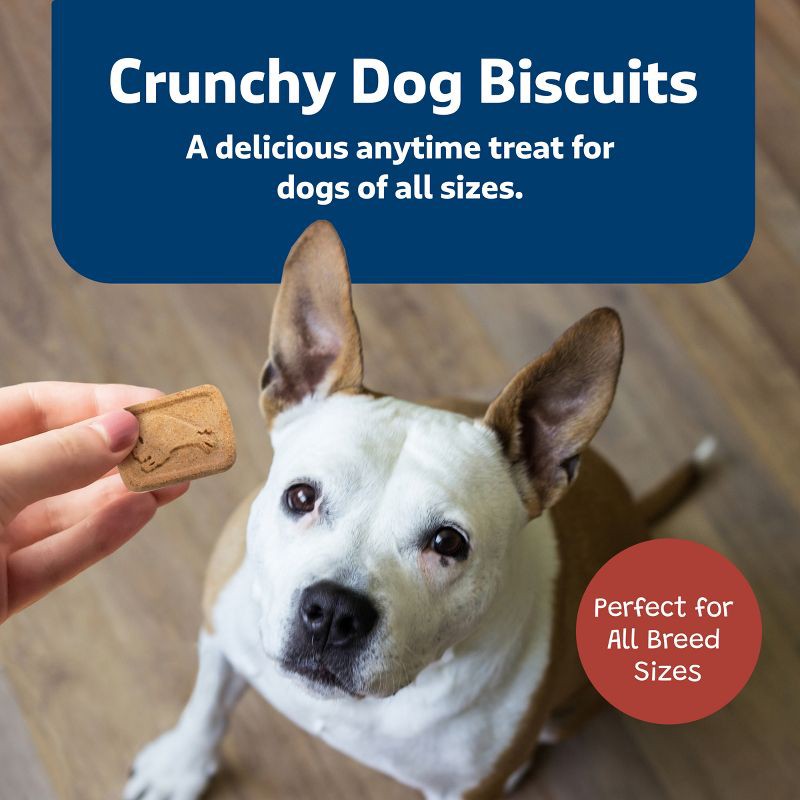 slide 4 of 9, Blue Buffalo Health Bars Natural Crunchy Dog Treats Biscuits with Bacon, Egg & Cheese Flavor - 16oz, 16 oz