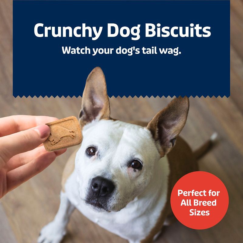 slide 4 of 9, Blue Buffalo Health Bars Natural Crunchy Dog Treats Biscuits with Bacon, Egg & Cheese Flavor - 16oz, 16 oz