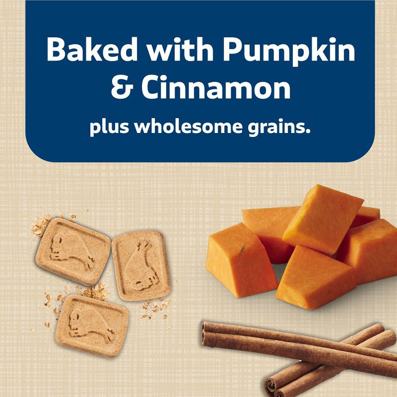 slide 3 of 9, Blue Buffalo Health Bars Pumpkin and Cinnamon Flavor Natural Crunchy Dog Treat Biscuits - 16oz, 16 oz