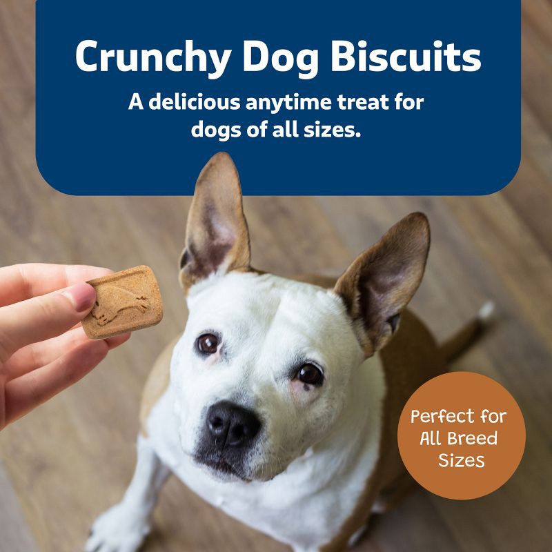 slide 4 of 9, Blue Buffalo Health Bars Pumpkin and Cinnamon Flavor Natural Crunchy Dog Treat Biscuits - 16oz, 16 oz