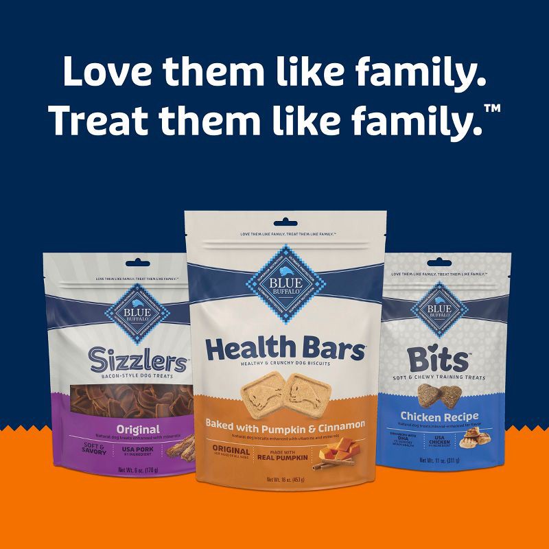 slide 8 of 10, Blue Buffalo Health Bars Pumpkin and Cinnamon Flavor Natural Crunchy Dog Treat Biscuits - 16oz, 16 oz
