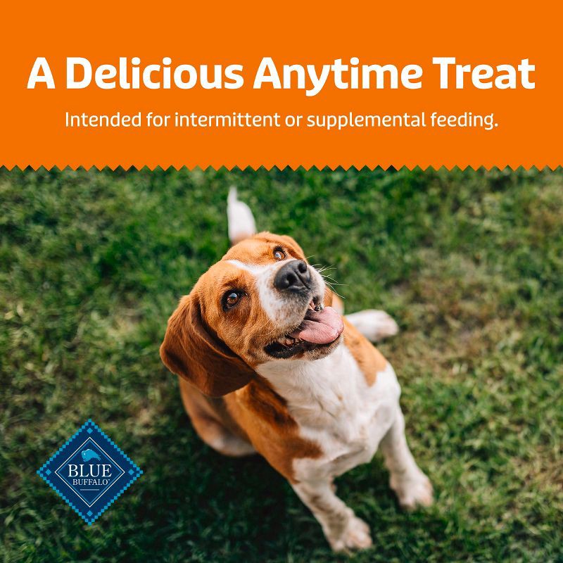 slide 9 of 10, Blue Buffalo Health Bars Pumpkin and Cinnamon Flavor Natural Crunchy Dog Treat Biscuits - 16oz, 16 oz