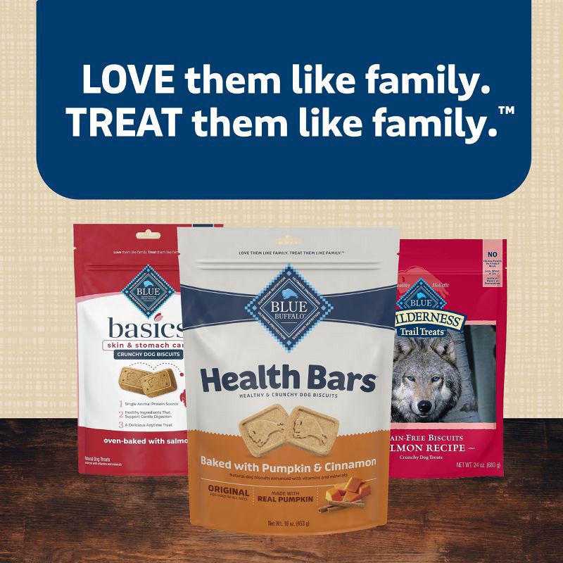 slide 9 of 9, Blue Buffalo Health Bars Pumpkin and Cinnamon Flavor Natural Crunchy Dog Treat Biscuits - 16oz, 16 oz