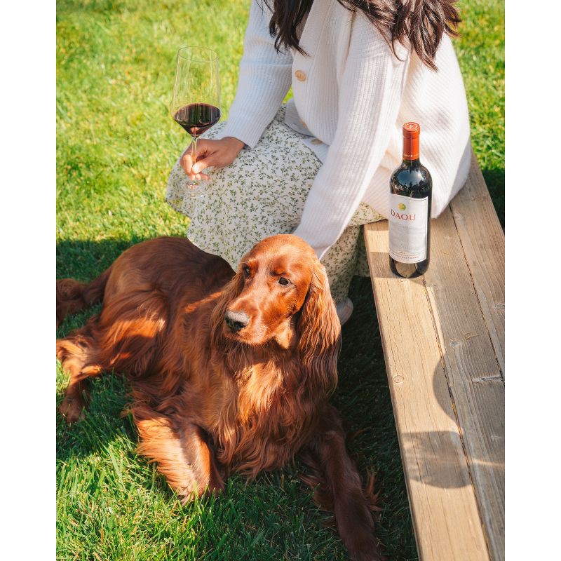 slide 4 of 6, DAOU Cabernet Sauvignon Red Wine - 750ml Bottle, 750 ml