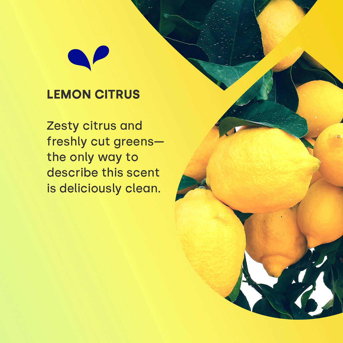 slide 4 of 25, Dropps Ultra Plus Dshwshr Pods Lemon Citrus 40Ct, 40 ct