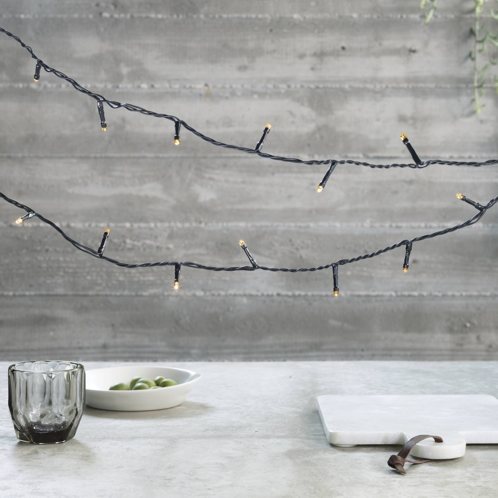 slide 2 of 2, 50ct Outdoor LED Euro String Lights Battery Operated Black Wire - Project 62, 1 ct