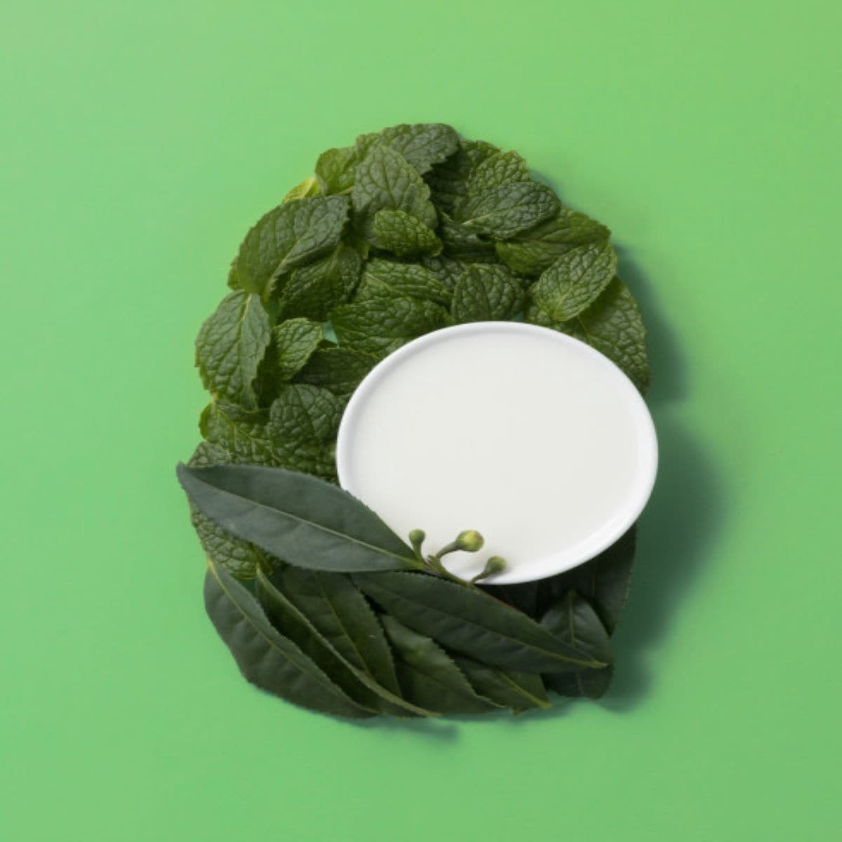 slide 9 of 25, OGX Extra Strength Refreshing Scalp + Teatree Mint Conditioner, Invigorating Conditioner with Tea Tree & Peppermint Oil & Witch Hazel, Paraben-Free, Sulfate-Free Surfactants, 25.4 Fl Oz, 25.4 oz