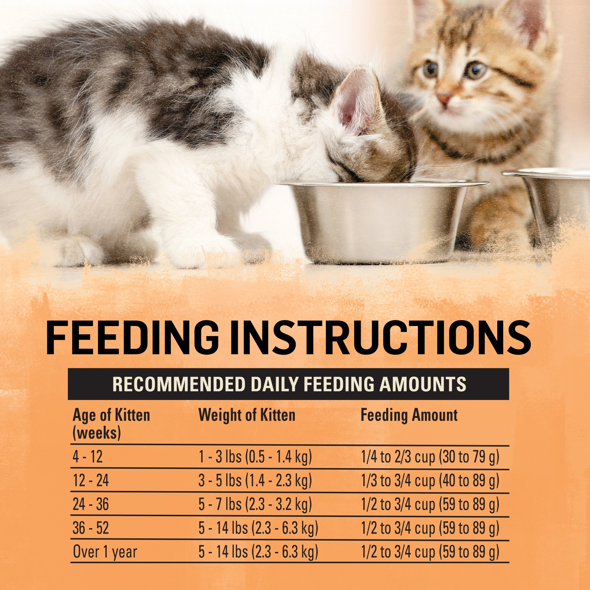 slide 4 of 9, Beyond Purina Beyond High Protein, Natural Kitten Food, Kitten Chicken & Oatmeal Recipe, 5 lb