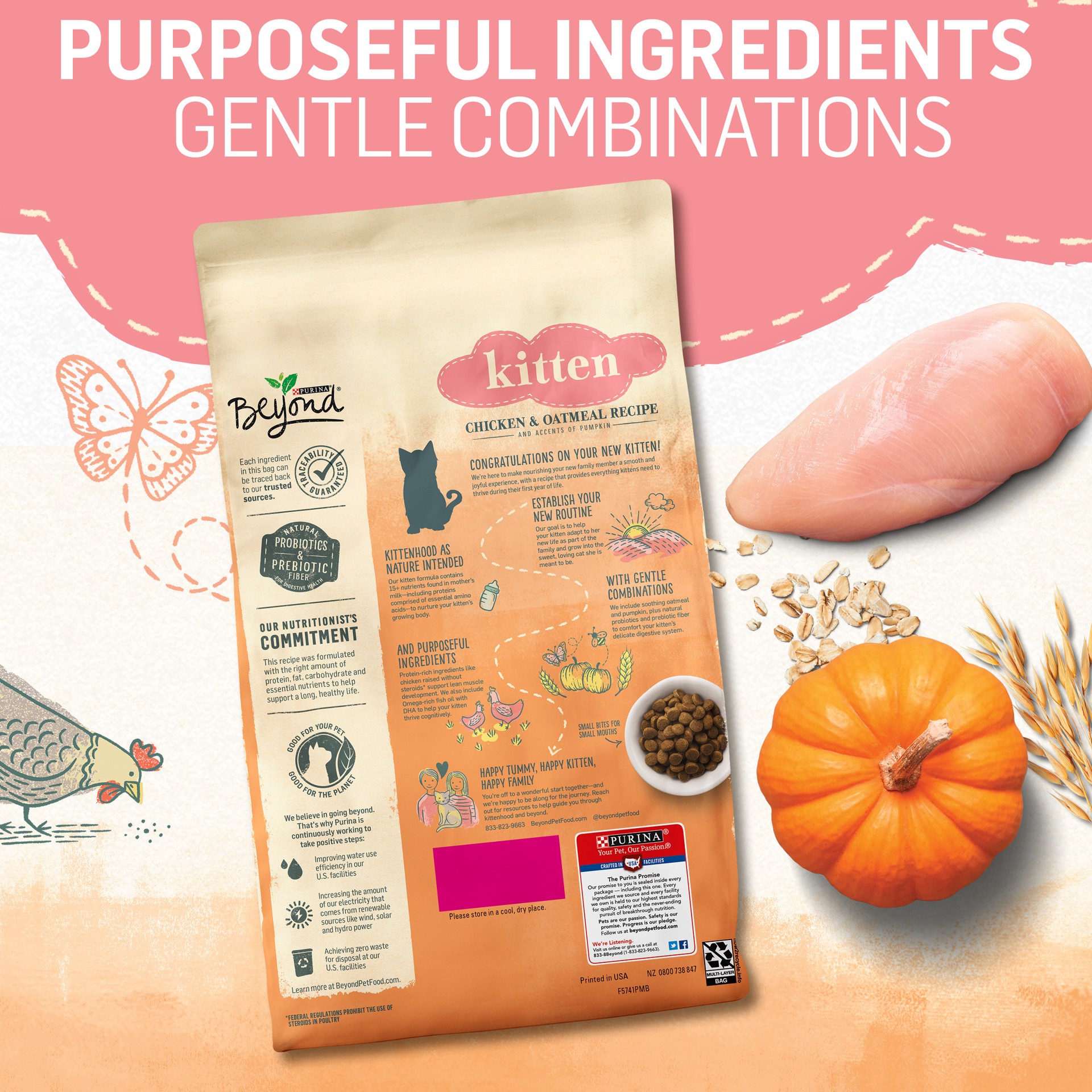 slide 9 of 9, Beyond Purina Beyond High Protein, Natural Kitten Food, Kitten Chicken & Oatmeal Recipe, 5 lb