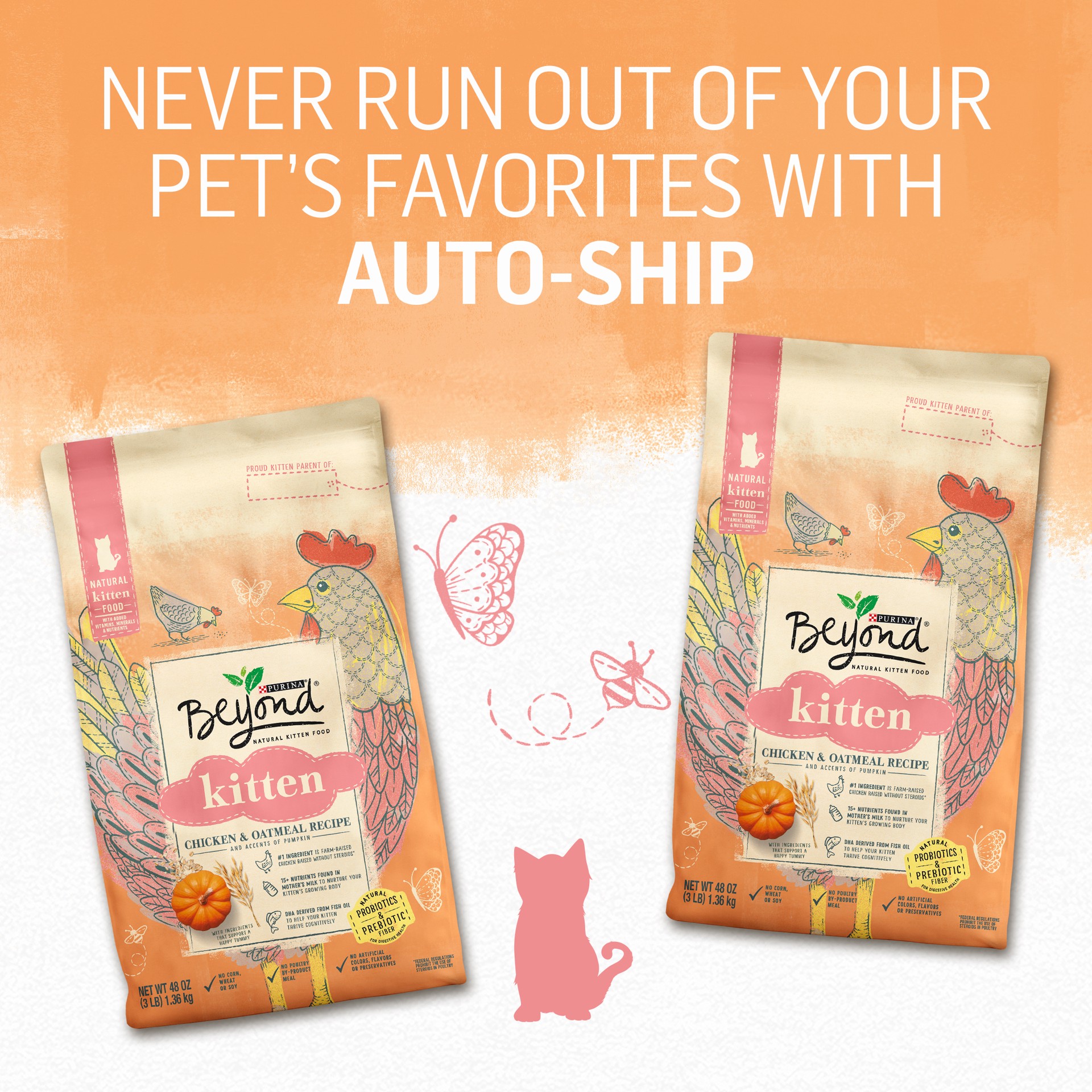 slide 5 of 9, Beyond Purina Beyond High Protein, Natural Kitten Food, Kitten Chicken & Oatmeal Recipe, 5 lb