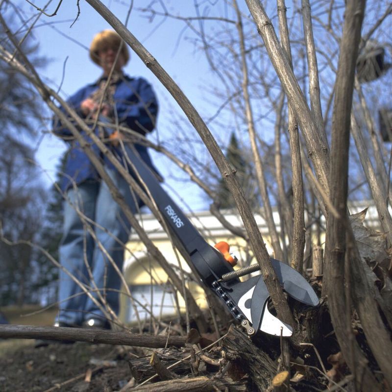 slide 7 of 11, Fiskars 5' Pruning Stik Tree Pruner: Extendable, Handheld Garden Shears, 61.75" Height, 2" Blade Width, 1 ct