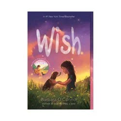 Macmillan Wish - by Barbara O'Connor (Paperback)