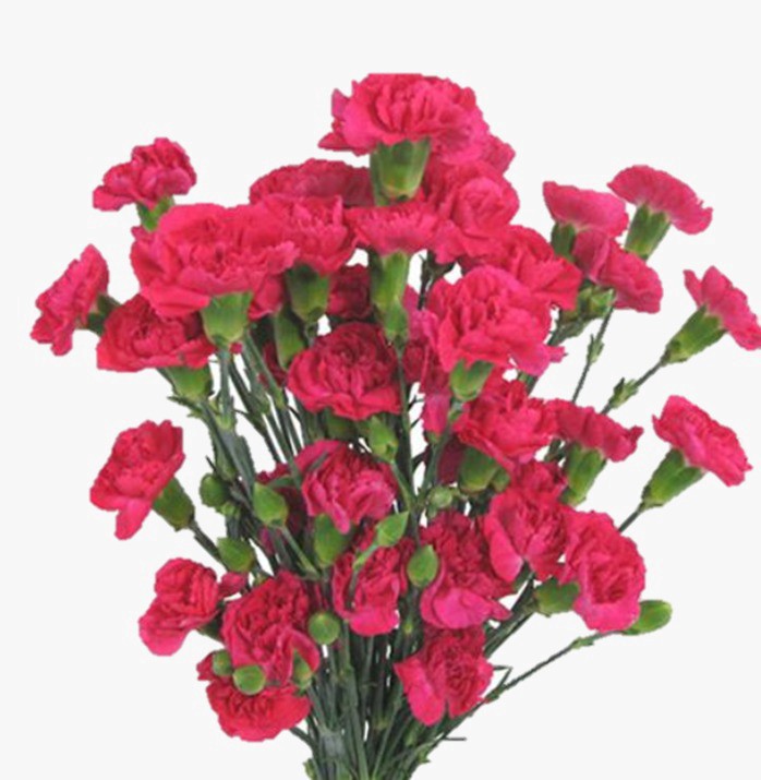 slide 1 of 1, Mini Carns, 1 ct