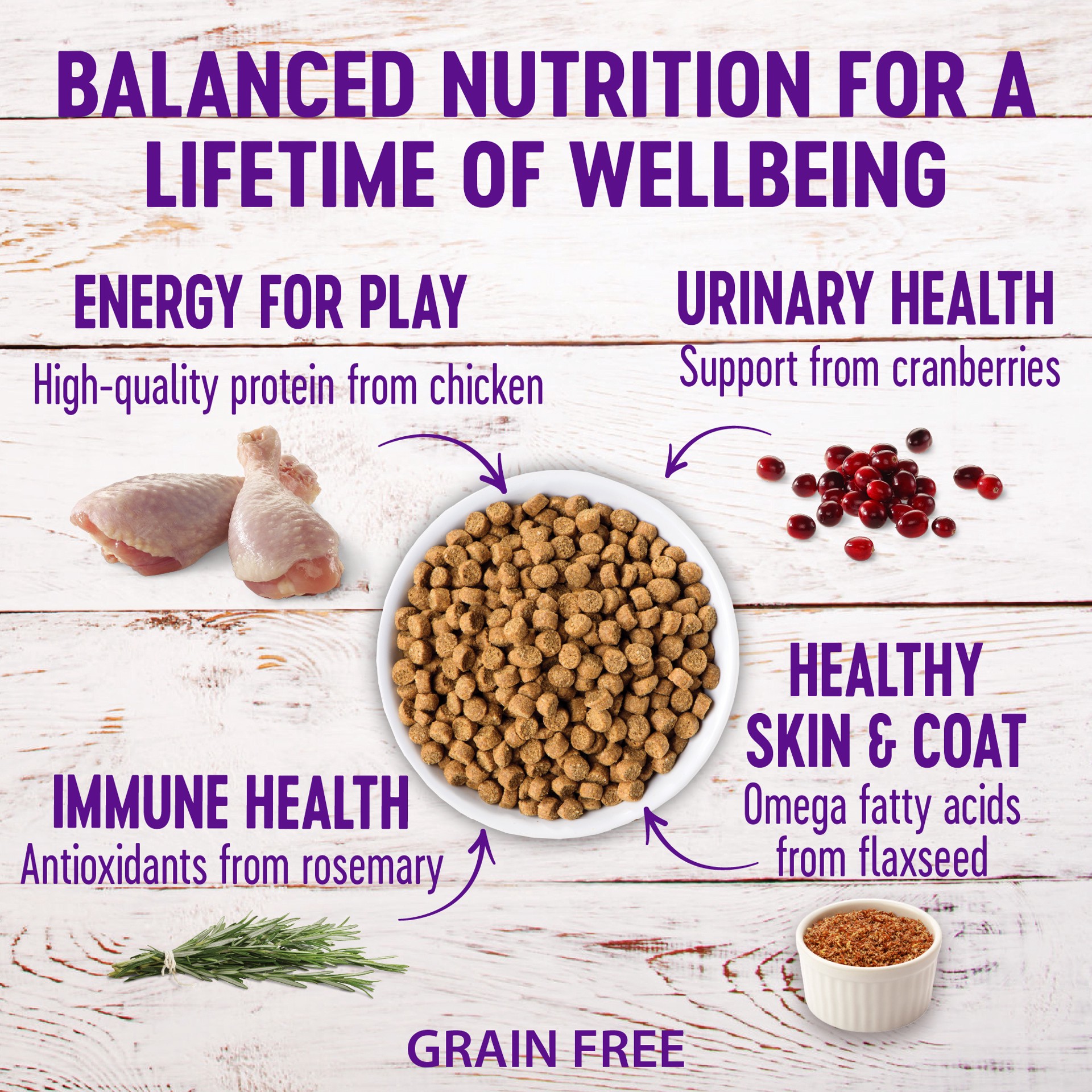 slide 4 of 5, Wellness Complete Health Natural Grain Free Deboned Chicken & Chicken Meal Dry Kitten Food, 1 ct