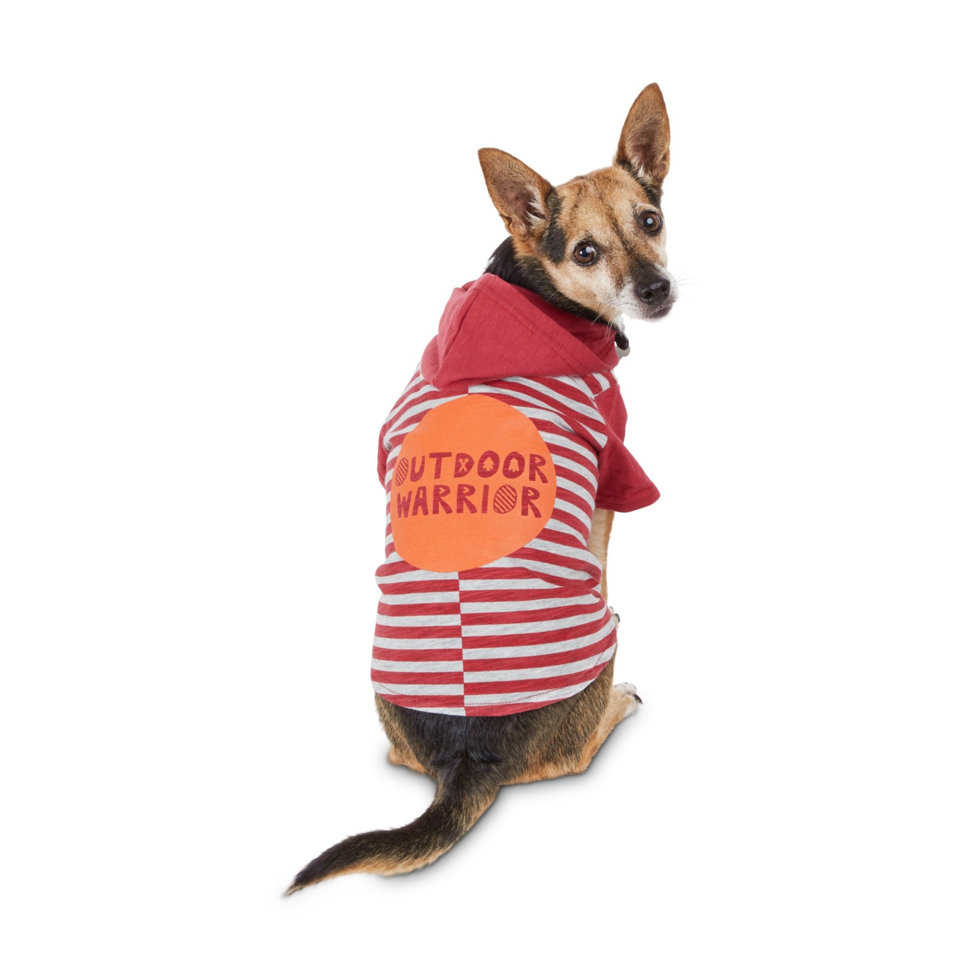 slide 1 of 1, Bond & Co. Outdoor Warrior Hooded Dog T-Shirt, MED