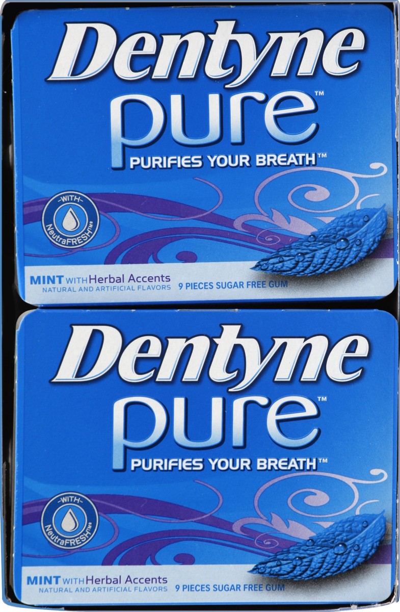 slide 5 of 5, Dentyne Pure Mint with Herbal Accents Sugar Free Gum, 10 Packs of 9 Pieces (90 Total Pieces), 6.29 oz