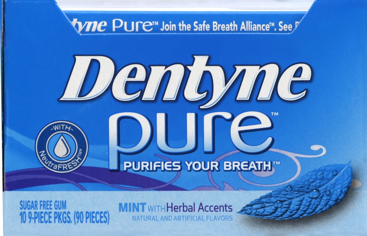 slide 2 of 5, Dentyne Pure Mint with Herbal Accents Sugar Free Gum, 10 Packs of 9 Pieces (90 Total Pieces), 6.29 oz