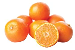 Fresh Daisy Mandarin Oranges