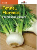 Burpee Florence Fennel Seeds