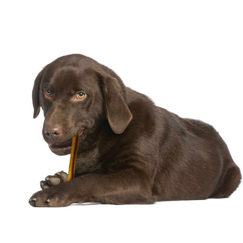 slide 6 of 6, Cadet Small Beef Flavor Bully Sticks Dog Treats - 6.5oz, 6.5 oz