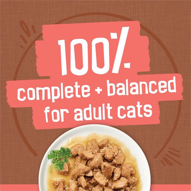 slide 5 of 10, Purina Friskies Extra Gravy Chunky Chicken, Turkey, Salmon & Beef Wet Cat Food - 5.5oz/24ct Variety Pack, 24 ct; 5.5 oz