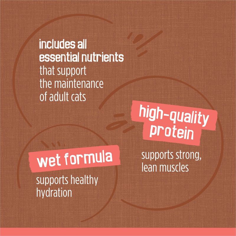 slide 8 of 10, Purina Friskies Extra Gravy Chunky Chicken, Turkey, Salmon & Beef Wet Cat Food - 5.5oz/24ct Variety Pack, 24 ct; 5.5 oz