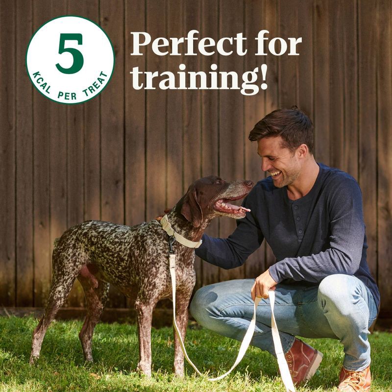 slide 3 of 11, Nutro Mixed Berries Flavor Adult Dog Treats - 10oz, 10 oz