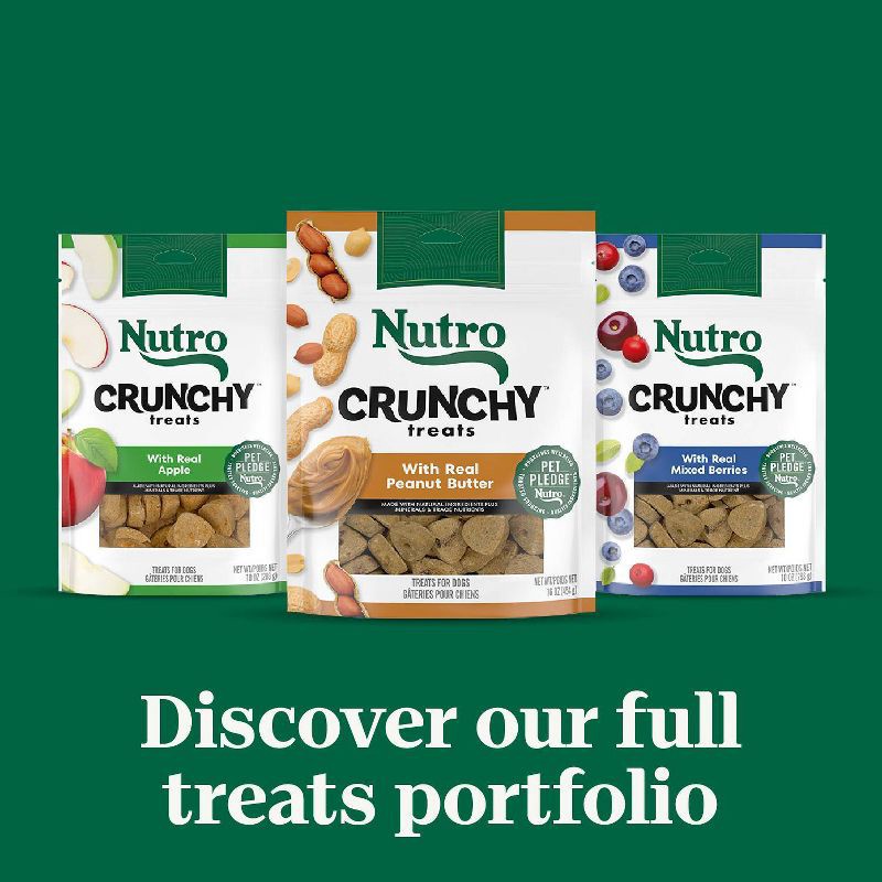 slide 13 of 13, Nutro Crunchy Dog Treats with Blueberry, Cranberry and Fruits - 10oz, 10 oz