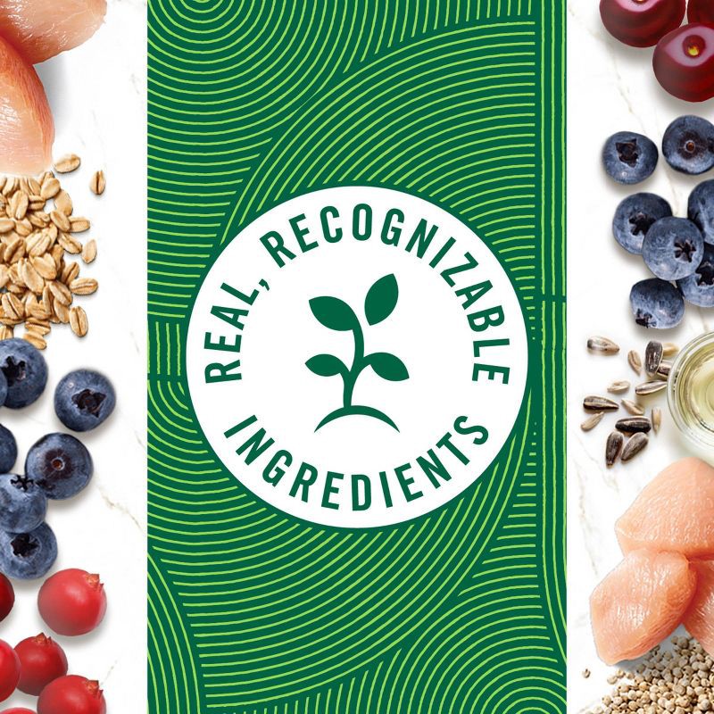 slide 6 of 11, Nutro Mixed Berries Flavor Adult Dog Treats - 10oz, 10 oz