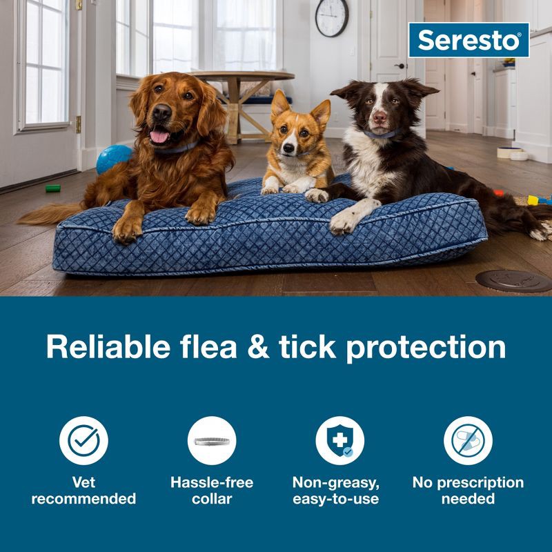 slide 2 of 7, Seresto Flea & Tick Dog Insect Prevention Collar - S, 1 ct