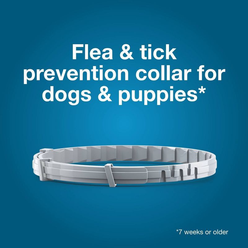 slide 4 of 10, Seresto Flea & Tick Dog Insect Prevention Collar - S, 1 ct
