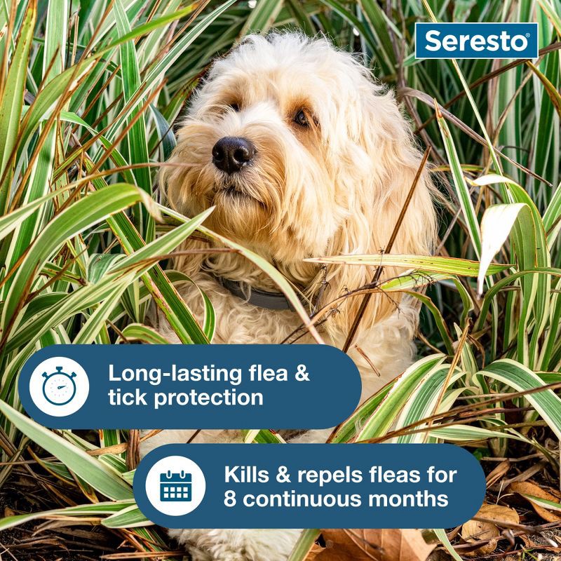slide 5 of 7, Seresto Flea & Tick Dog Insect Prevention Collar - S, 1 ct