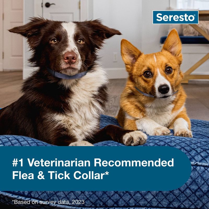 slide 5 of 10, Seresto Flea & Tick Dog Insect Prevention Collar - S, 1 ct