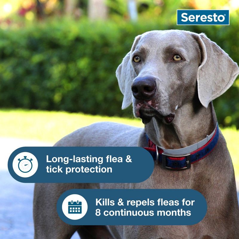 slide 5 of 7, Seresto Flea & Tick Dog Insect Prevention Collar - L, 1 ct