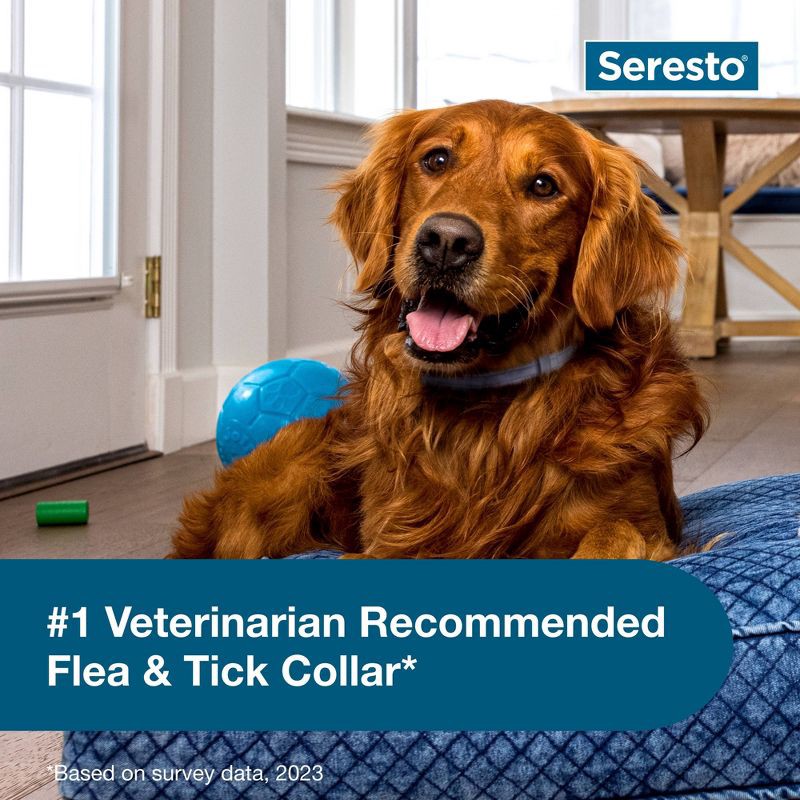slide 5 of 10, Seresto Flea & Tick Dog Insect Prevention Collar - L, 1 ct