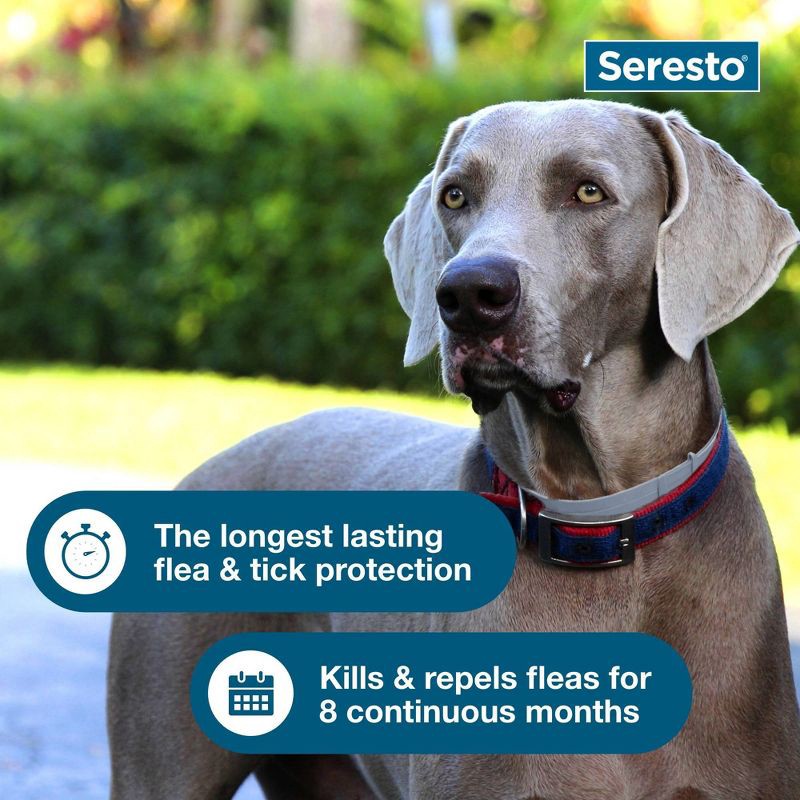 slide 6 of 10, Seresto Flea & Tick Dog Insect Prevention Collar - L, 1 ct