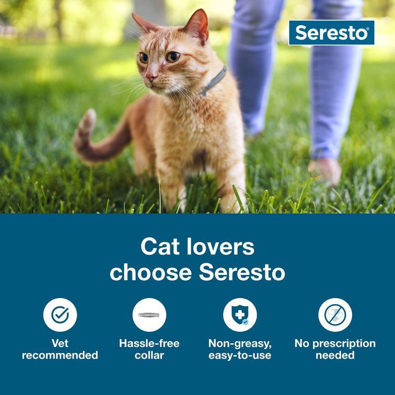 slide 3 of 9, Seresto Flea & Tick Cat Insect Prevention Collar, 1 ct