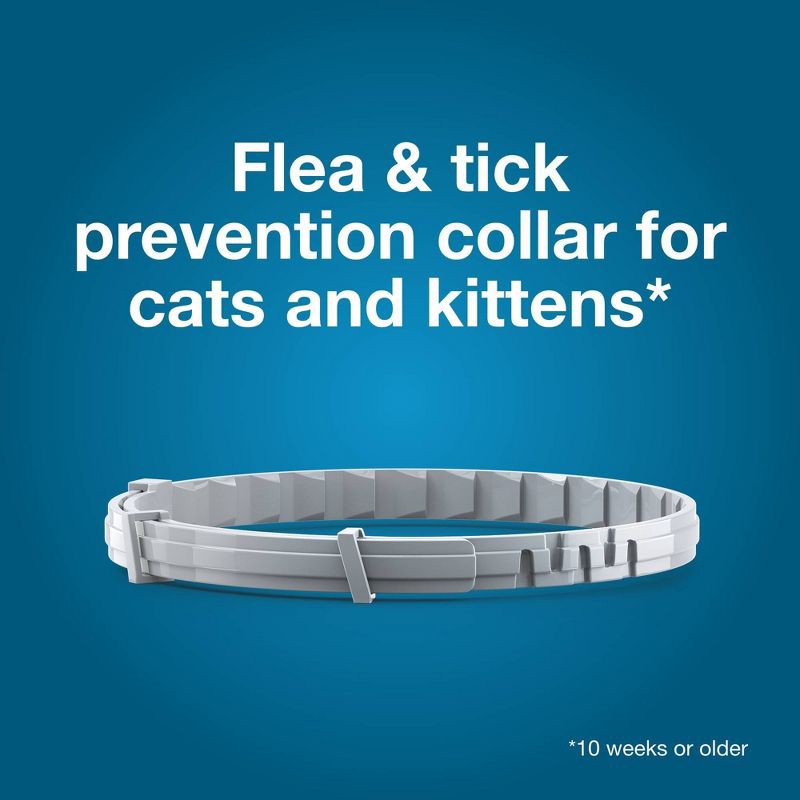 slide 4 of 9, Seresto Flea & Tick Cat Insect Prevention Collar, 1 ct