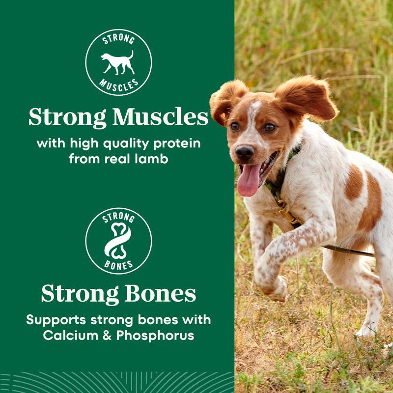 slide 12 of 18, Nutro Natural Choice Lamb, Vegetable and Rice Flavor Small Bites Adult Dry Dog Food - 5lbs, 5 lb