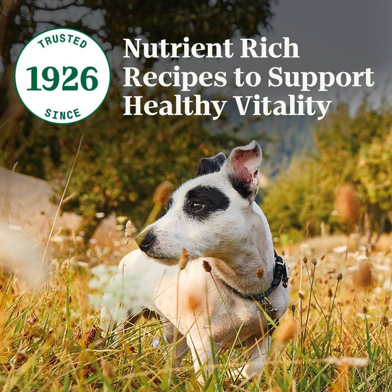 slide 4 of 13, Nutro Natural Choice Chicken and Brown Rice Flavor Senior Dry Dog Food - 5lbs, 5 lb