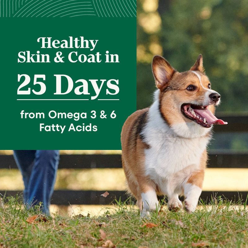 slide 5 of 18, Nutro Natural Choice Chicken, Vegetable and Rice Flavor Senior Dry Dog Food - 5lbs, 5 lb