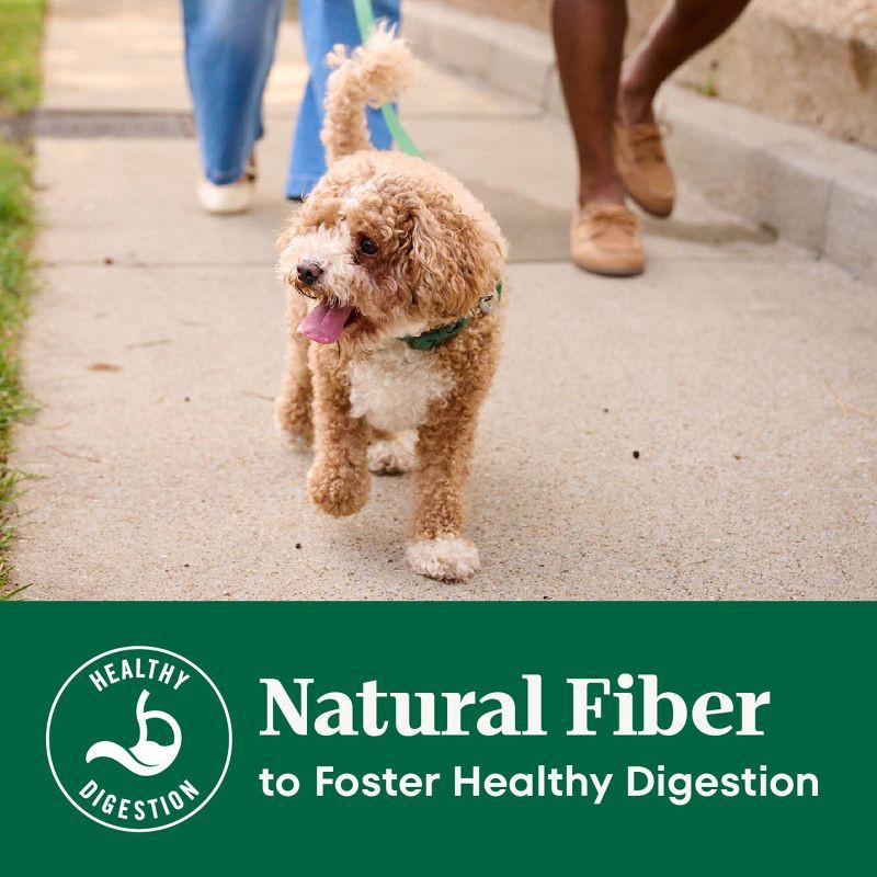 slide 7 of 18, Nutro Natural Choice Chicken, Vegetable and Rice Flavor Senior Dry Dog Food - 5lbs, 5 lb