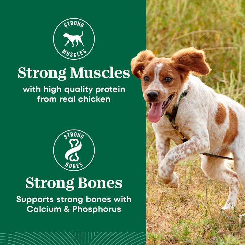 slide 12 of 18, Nutro Wholesome Nutrition Natural Choice Essentials Chicken, Vegetable and Rice Flavor Small Breed Adult Dry Dog Food - 5lbs, 5 lb