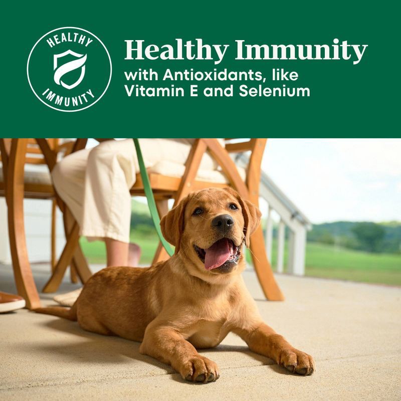 slide 13 of 17, Nutro Natural Choice Chicken, Vegetable and Rice Flavor Puppy Dry Dog Food - 5lbs, 5 lb