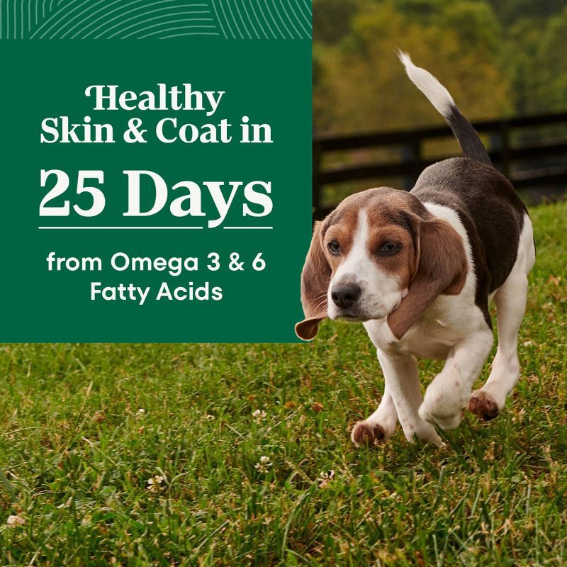 slide 4 of 17, Nutro Natural Choice Chicken, Vegetable and Rice Flavor Puppy Dry Dog Food - 5lbs, 5 lb