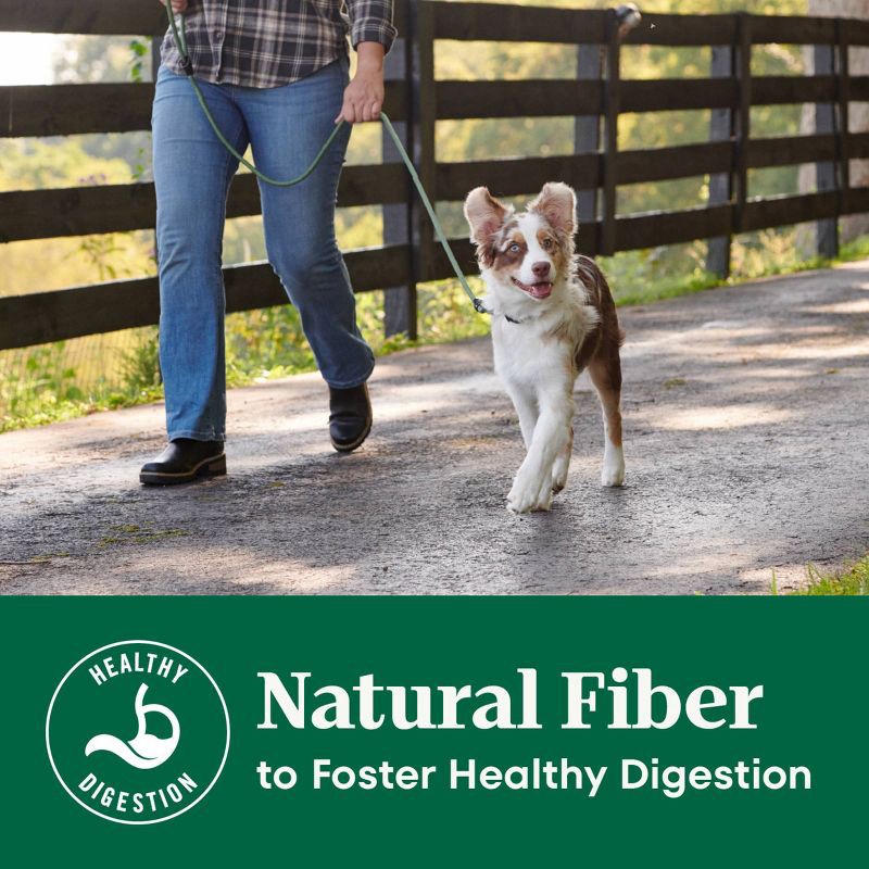 slide 6 of 17, Nutro Natural Choice Chicken, Vegetable and Rice Flavor Puppy Dry Dog Food - 5lbs, 5 lb