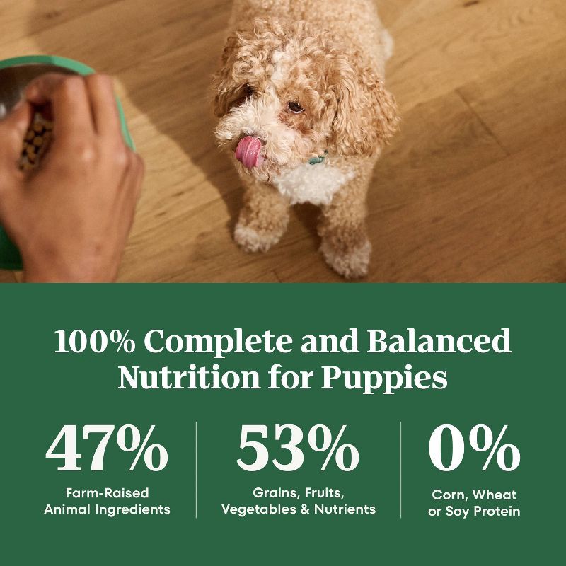 slide 10 of 17, Nutro Natural Choice Chicken, Vegetable and Rice Flavor Puppy Dry Dog Food - 5lbs, 5 lb