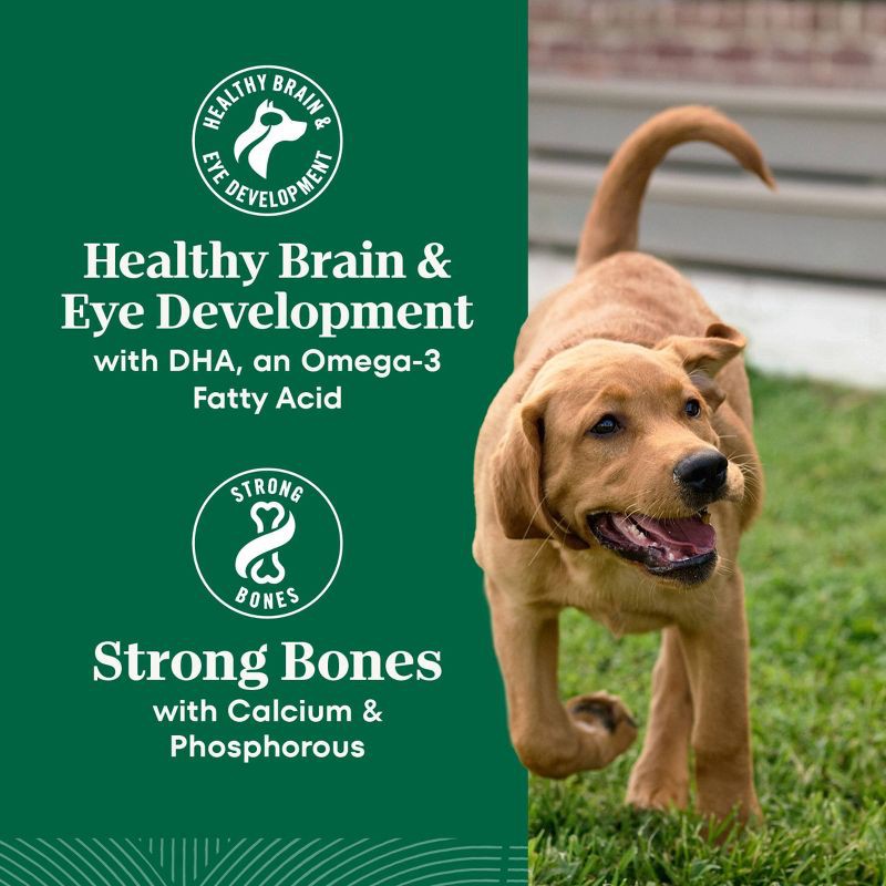 slide 11 of 17, Nutro Natural Choice Chicken, Vegetable and Rice Flavor Puppy Dry Dog Food - 5lbs, 5 lb